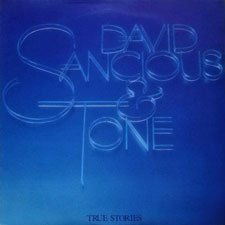 Sancious, David and Tone: True Stories