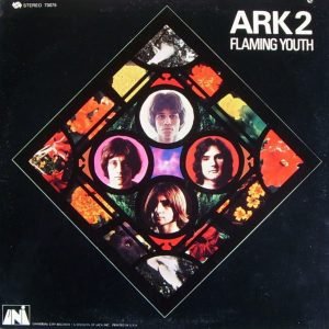 Flaming Youth: Ark 2