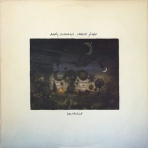 Fripp, Robert & Summers, Andy: Bewitched