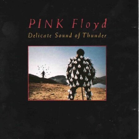 Pink Floyd: Delicate Sound Of Thunder