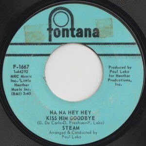 Steam: Na Na Hey Hey Kiss Him Goodbye / It's The Magic In You