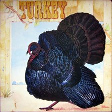 Wild Turkey: Turkey