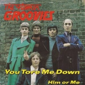 Flamin' Groovies, The: You Tore Me Down / Him Or Me